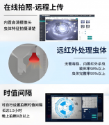 虫情测报仪:科技守护农田金叶智能引领