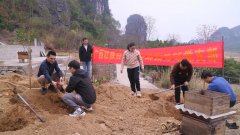 自治区养蜂指点坐党支部开展“种植蜜粉