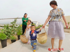 从“风吹石头跑”到沙漠田园