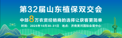 齐鲁特色农产闪烁!凤凰创意集团帮力第