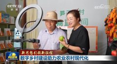 【新思惟引领新征程】数字村落扶植帮力